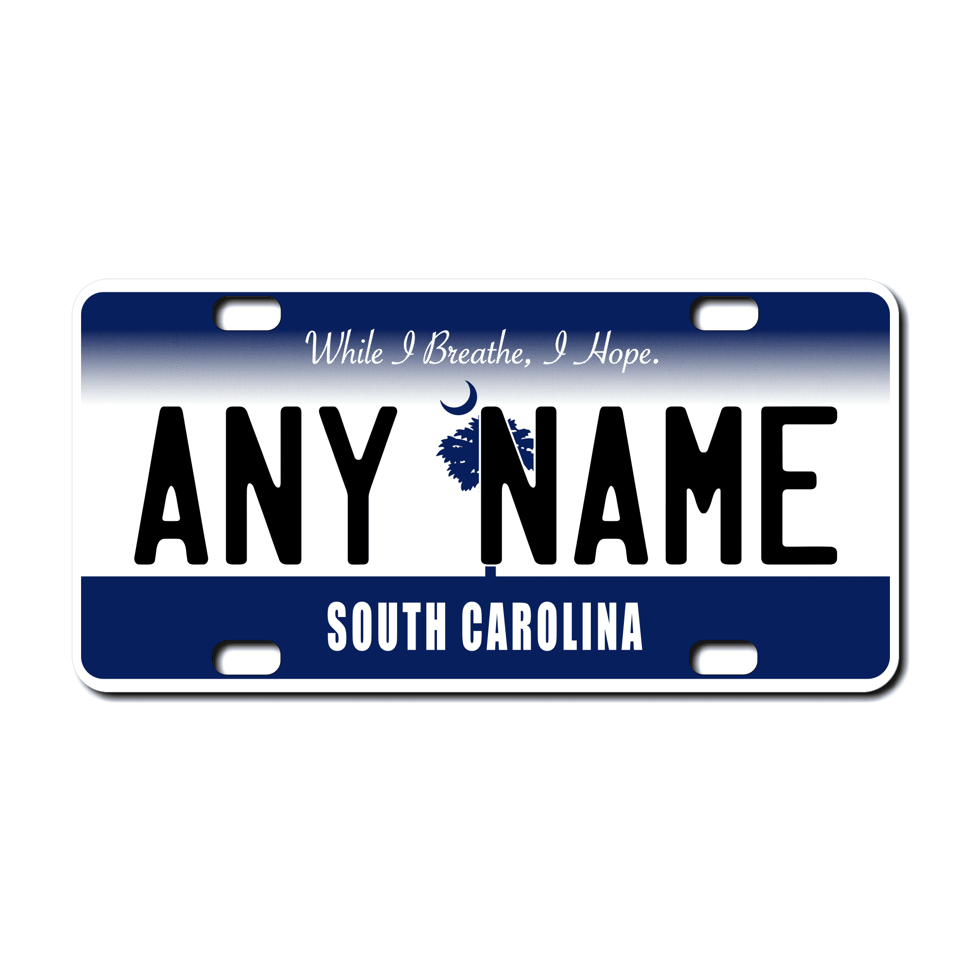 Personalized South Carolina 3" X 6" FRP Plastic License Plate Version 4